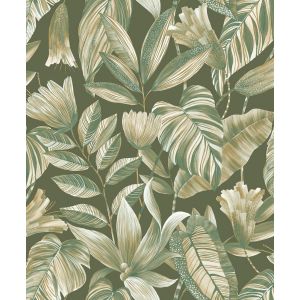 Belize  BZ3106 Papel de parede folhagem verde