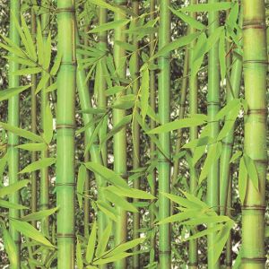 Replik   J780-04   Papel de Parede  bambus 