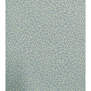 Neo Geometric  Papel de parede  NG1962   craquele cinza com dourado 