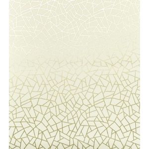 Neo Geometric  Papel de parede  NG1964  craquele bege com dourado 