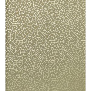 Neo Geometric  Papel de parede  NG1965   craquelado bege escuro com dourado 