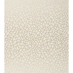 Neo Geometric  Papel de parede  NG1967  craquele rose gold com fendi 