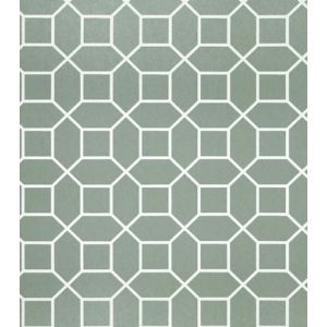 Neo Geometric  Papel de parede  NG1975  octogono  branco com fundo verde