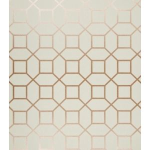 Neo Geometric  Papel de parede  NG1976  octogonos em rose gold com fundo fendi 