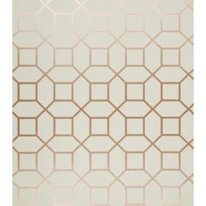 Neo Geometric  Papel de parede  NG1976  octogonos em rose gold com fundo fendi 