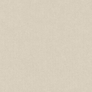 Belize  PH1003 Papel de parede textura cinza