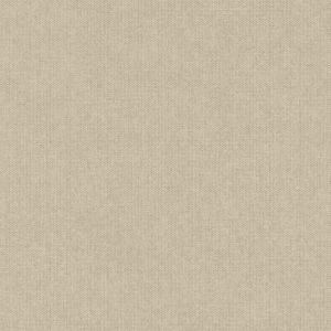 Belize  PH1005 Papel de parede textura bege 