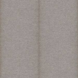 Sphere SE20552 papel de parede fendi  com riscos cimento queimado 