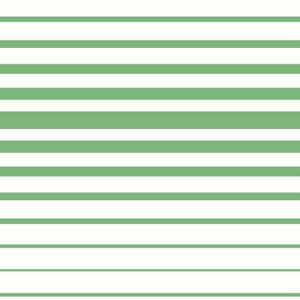 Dream Big   WI0183 Papel de  Parede listras verde 