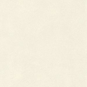 Club  418620 Papel  de Parede pelo de animal off white 